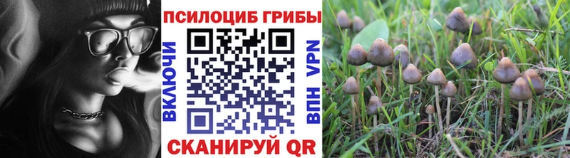 где найти   Адыгейск  Галлюциногенные грибы мухоморы 